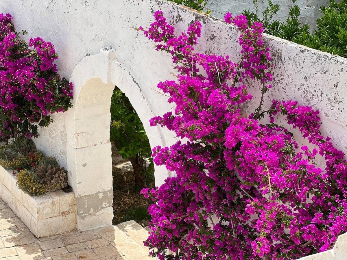 Masseria Piccole Taverne Rosa Marina Extérieur photo