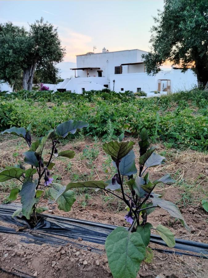 Masseria Piccole Taverne Rosa Marina Extérieur photo