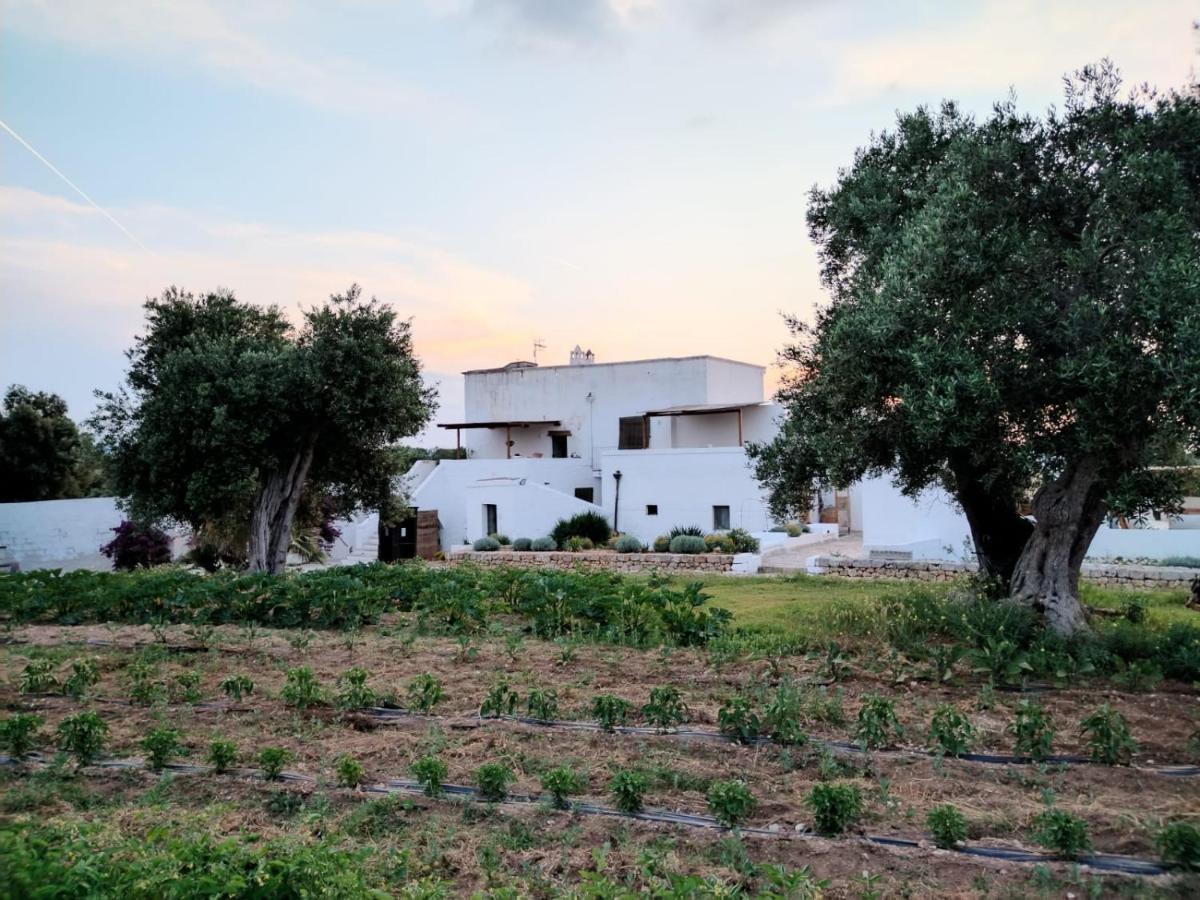 Masseria Piccole Taverne Rosa Marina Extérieur photo