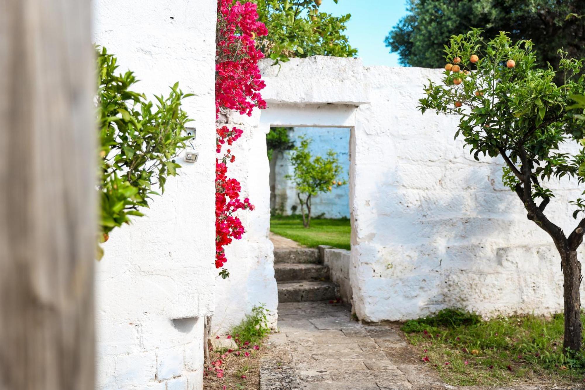 Masseria Piccole Taverne Rosa Marina Extérieur photo