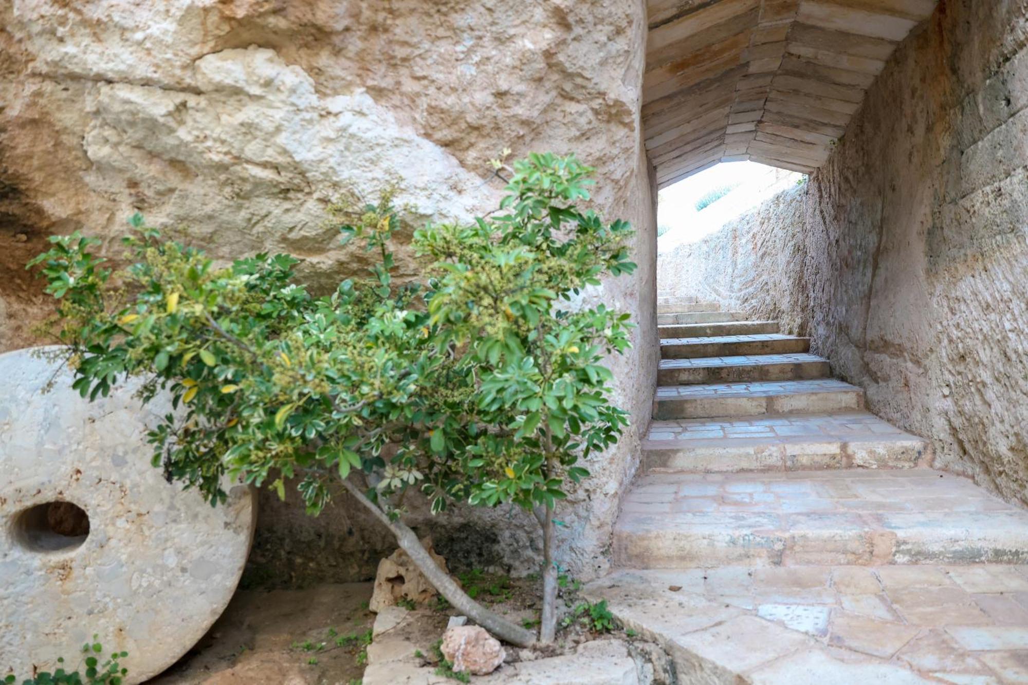 Masseria Piccole Taverne Rosa Marina Extérieur photo