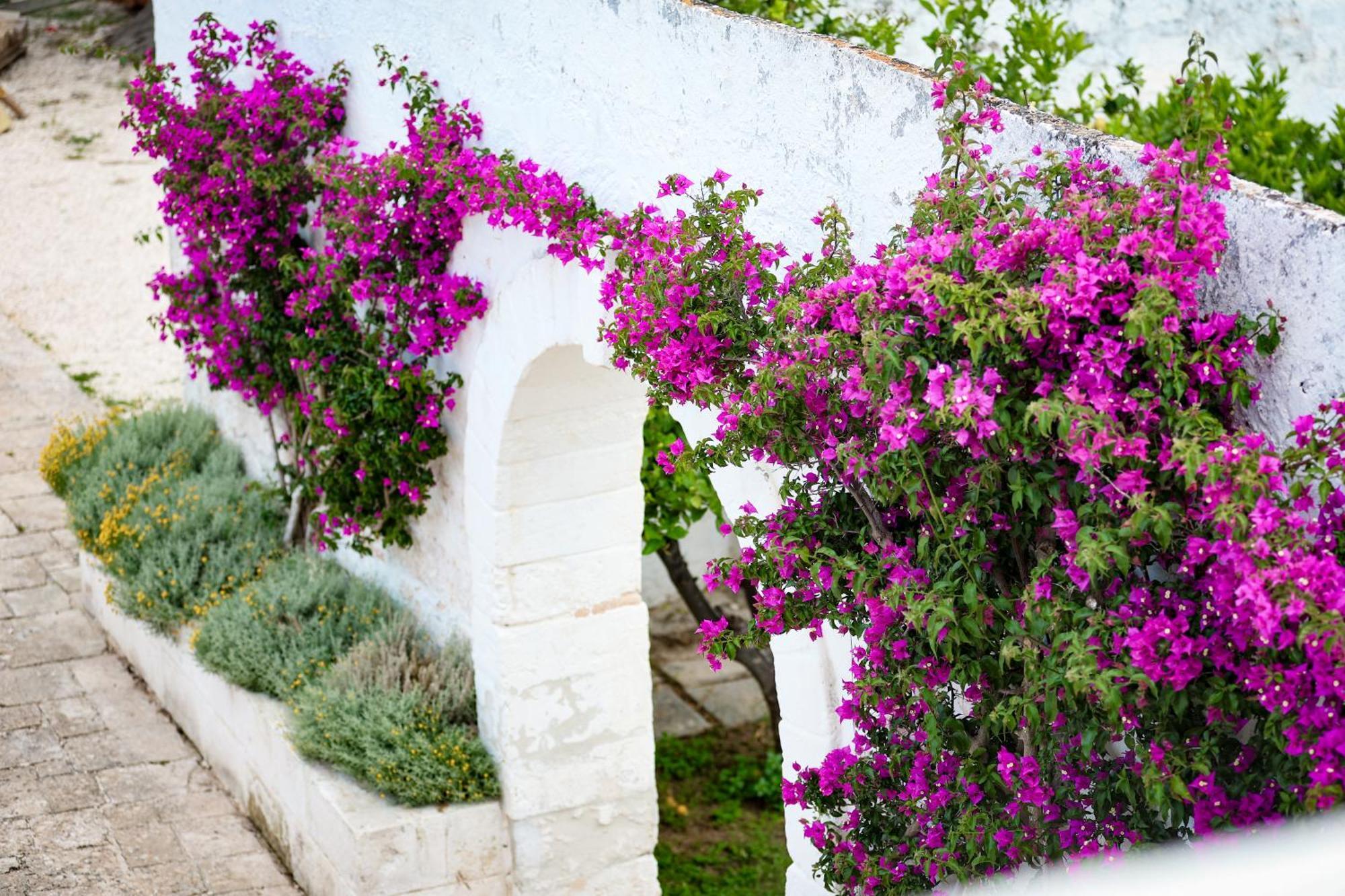 Masseria Piccole Taverne Rosa Marina Extérieur photo