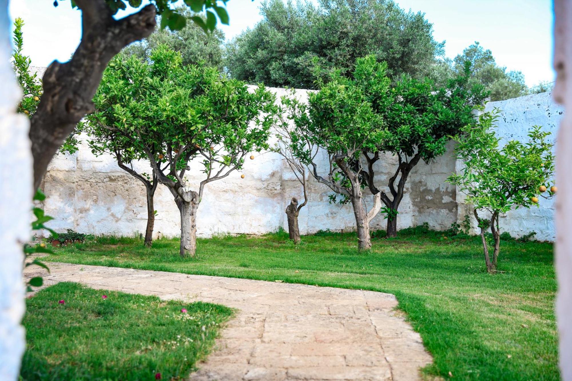 Masseria Piccole Taverne Rosa Marina Extérieur photo