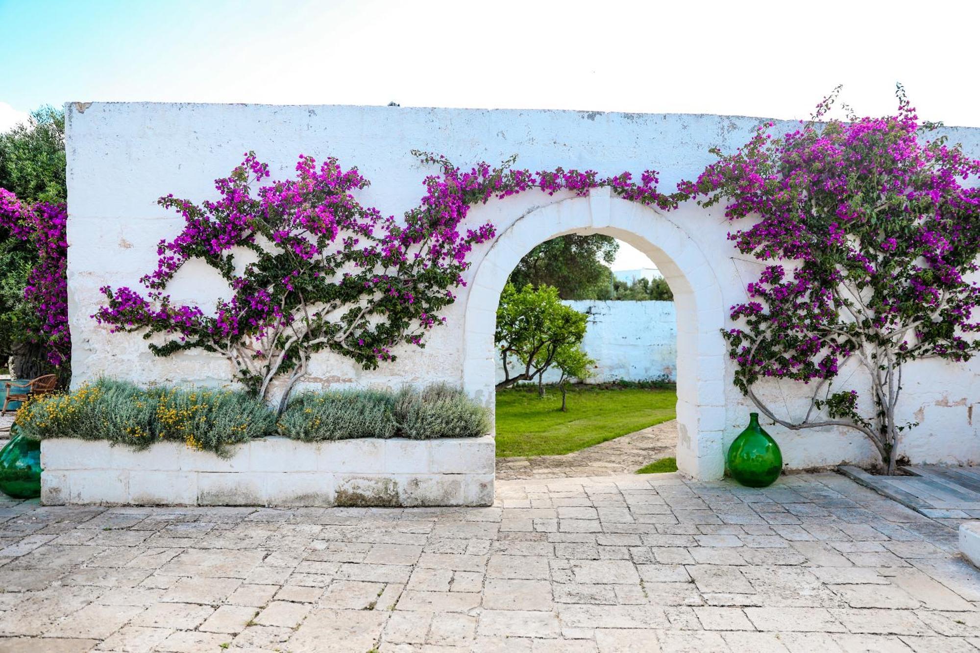Masseria Piccole Taverne Rosa Marina Extérieur photo